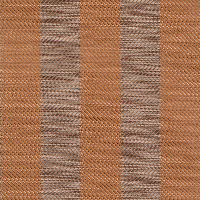 Summer Stripe