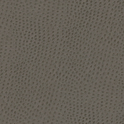 Uccello
