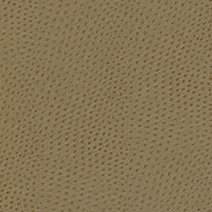 Uccello