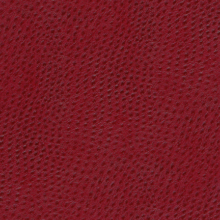 Uccello