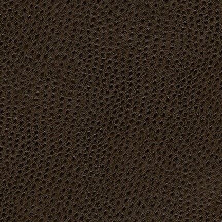 Uccello