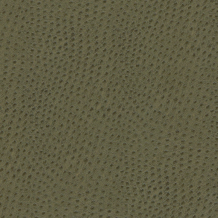 Uccello