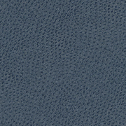 Uccello