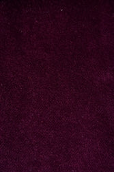 Gloria