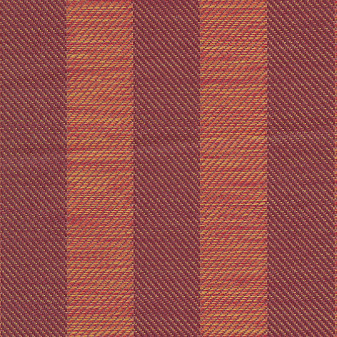 Summer Stripe
