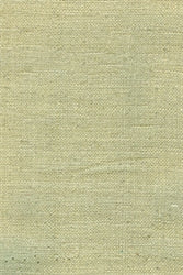 Luxury Textured Silk 1203