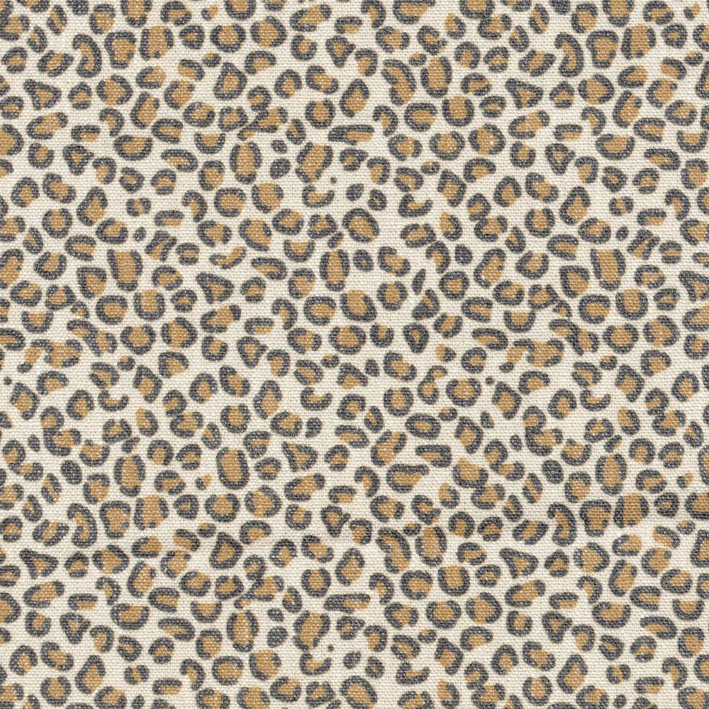 Gatto