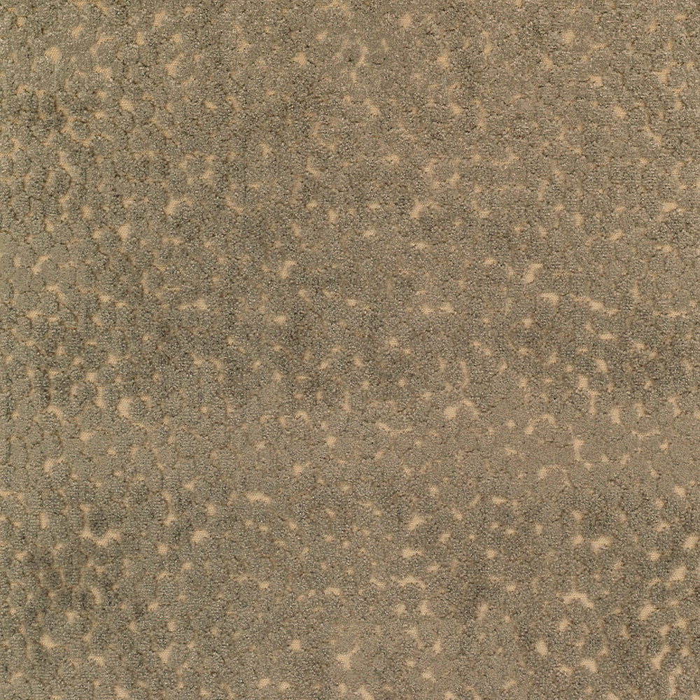 Pelle Di Velluto