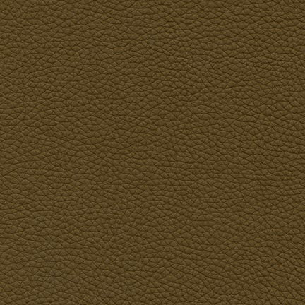 Jungle