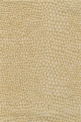 Regal Luxury Ostrich Champagne