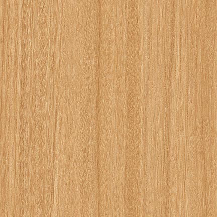 Teak