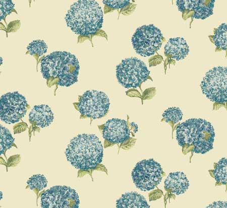 Hydrangea