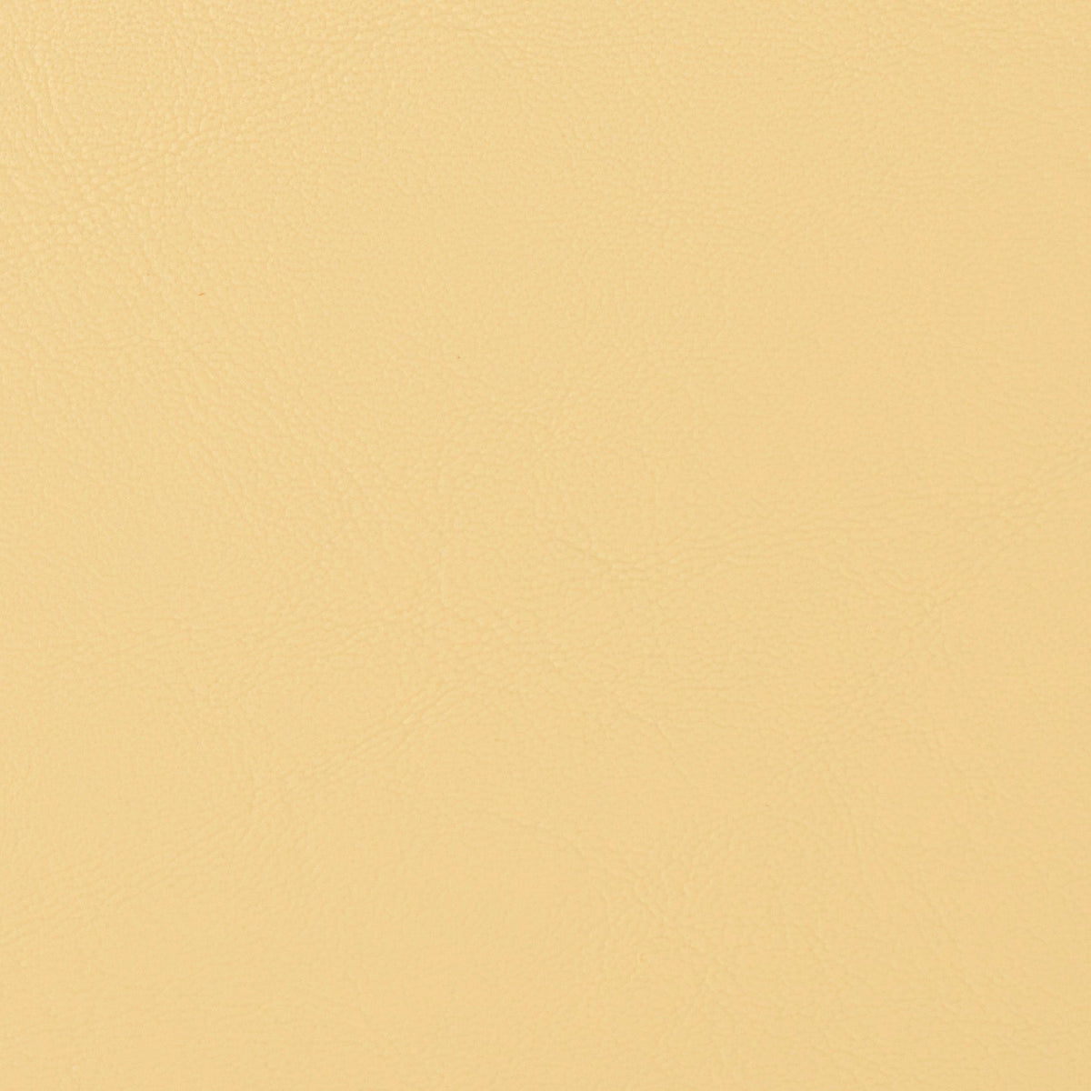 Terra
