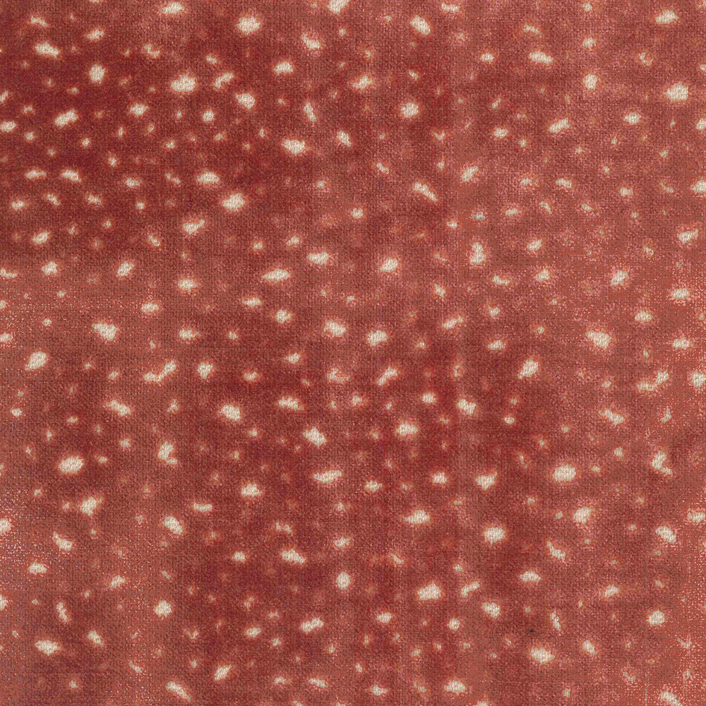 Velluto Maculato