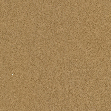 Desert