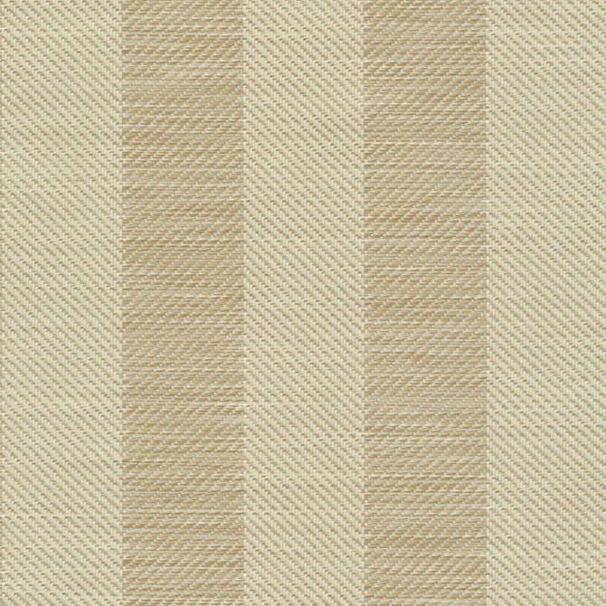 Summer Stripe