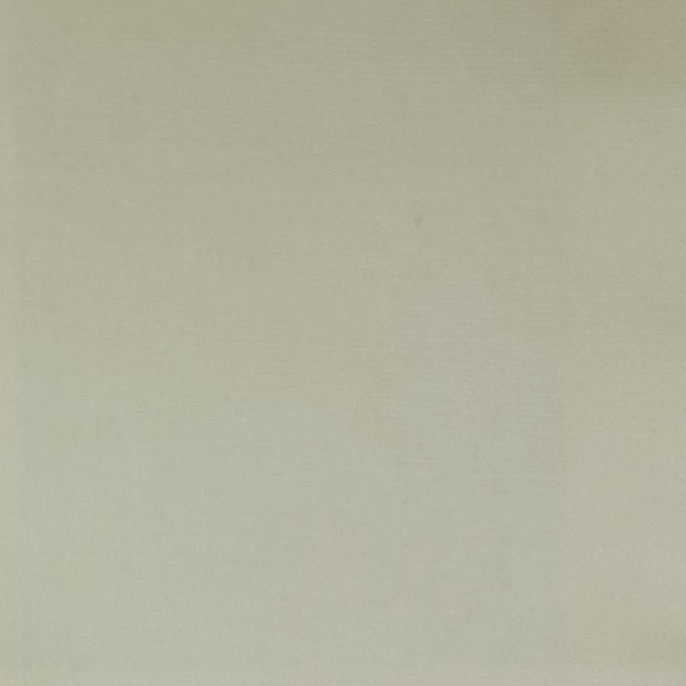 Canvas Basil Canvas