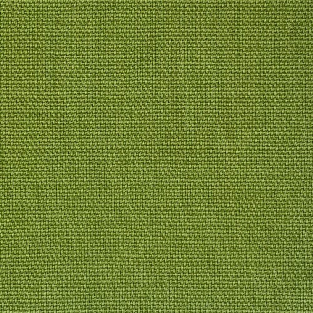 Canvas Basil Canvas