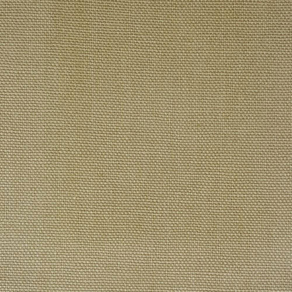 Canvas Basil Canvas