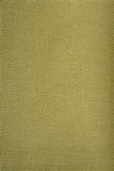 Canvas Basil Canvas