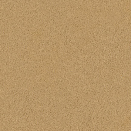Desert