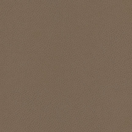 Desert