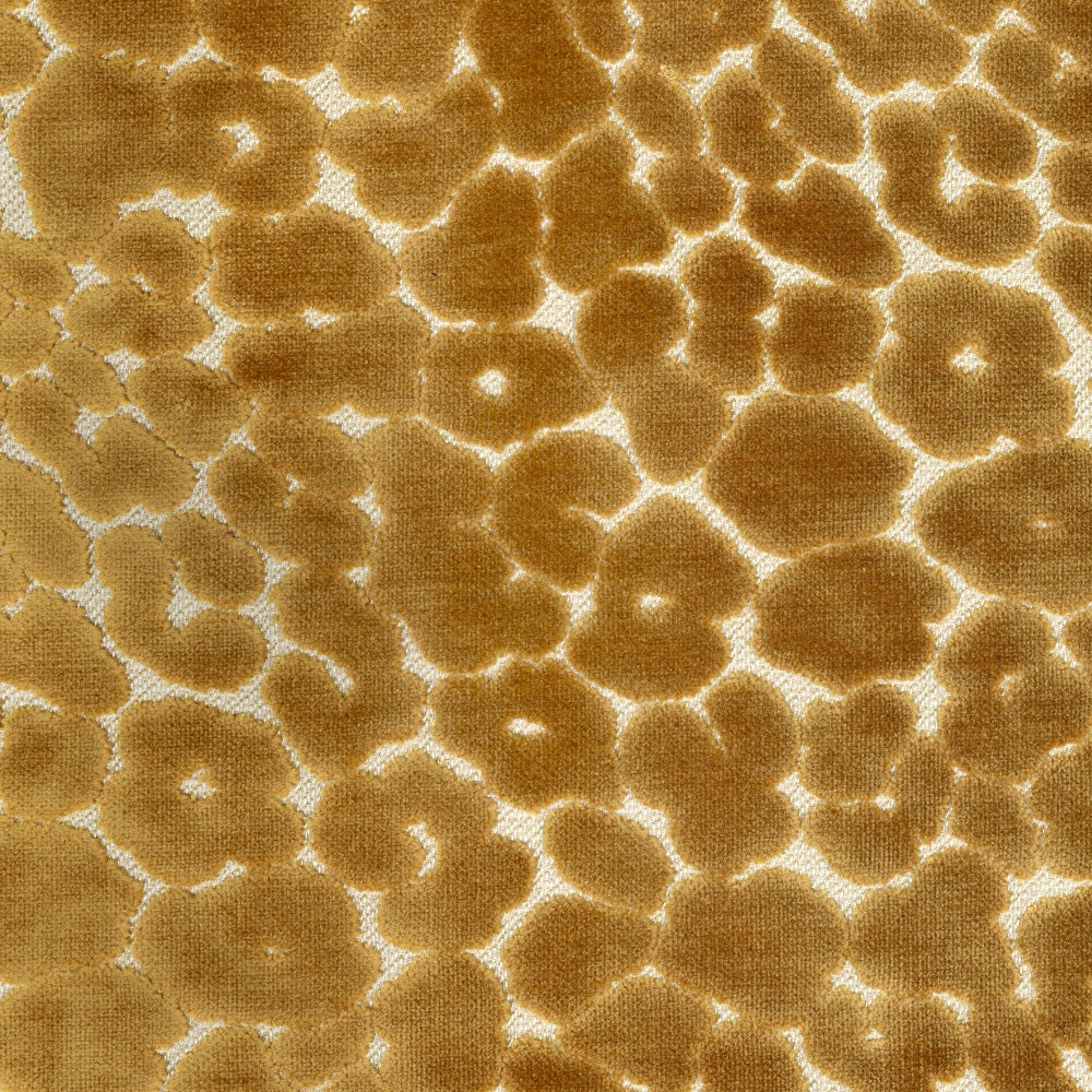 Floral Leopard