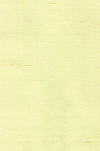 Dupioni Solids Basket Weave 214C 069