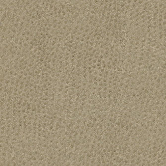 Uccello