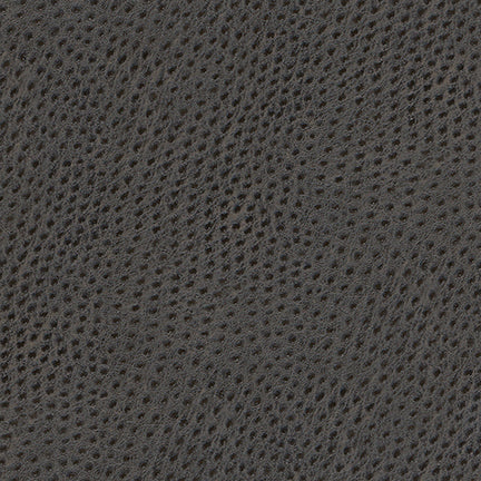 Uccello