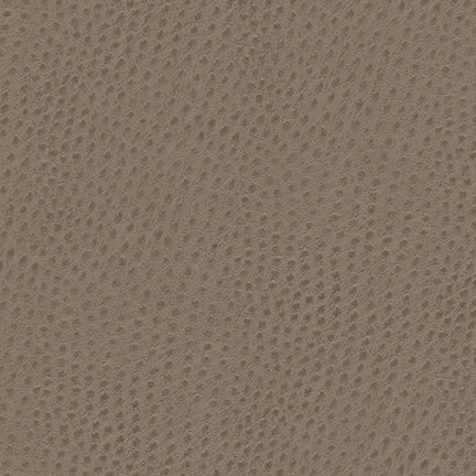Uccello