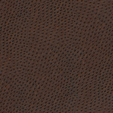 Uccello