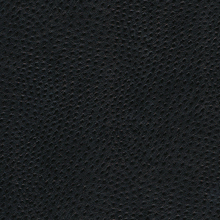 Uccello