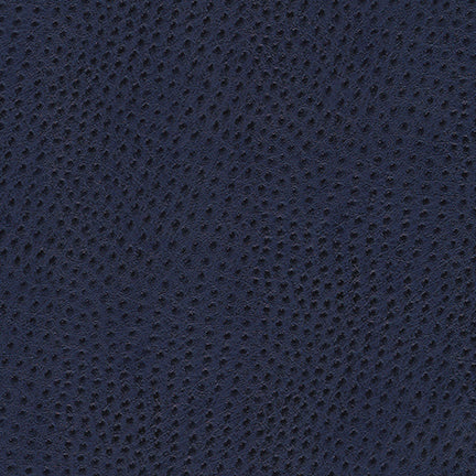 Uccello