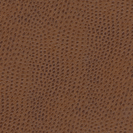 Uccello