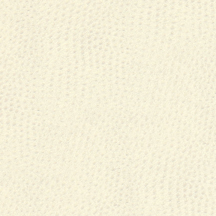 Uccello