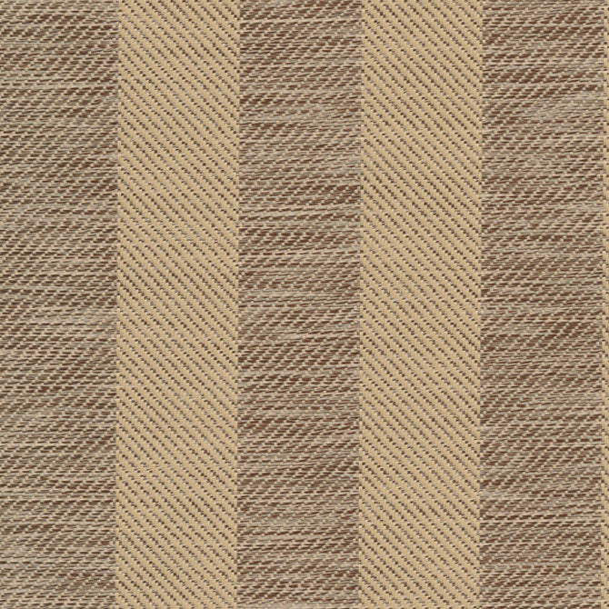 Summer Stripe