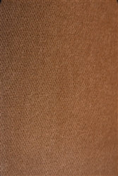 Gloria