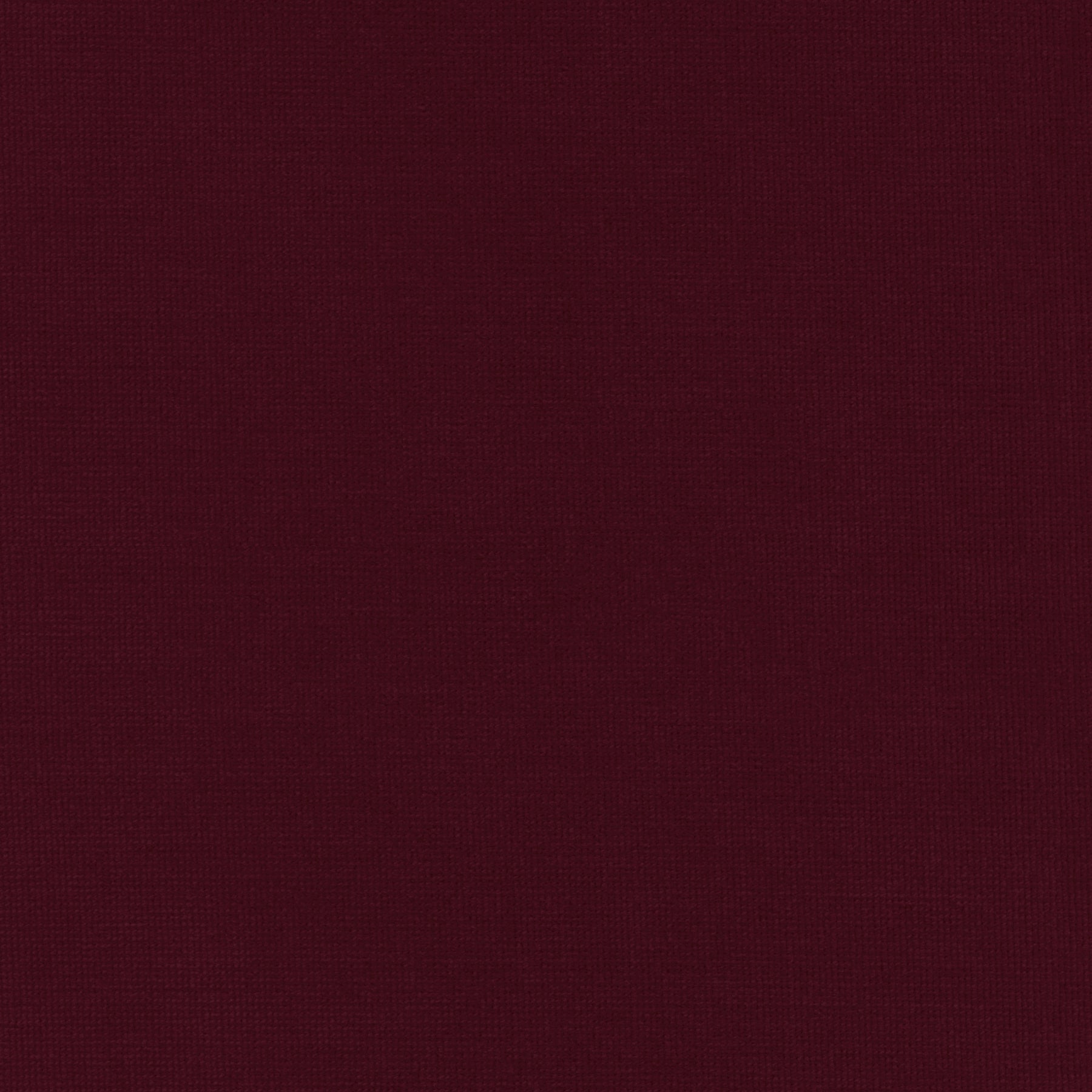 Rainforest