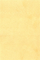 Nova Suede T3O2 Chamois