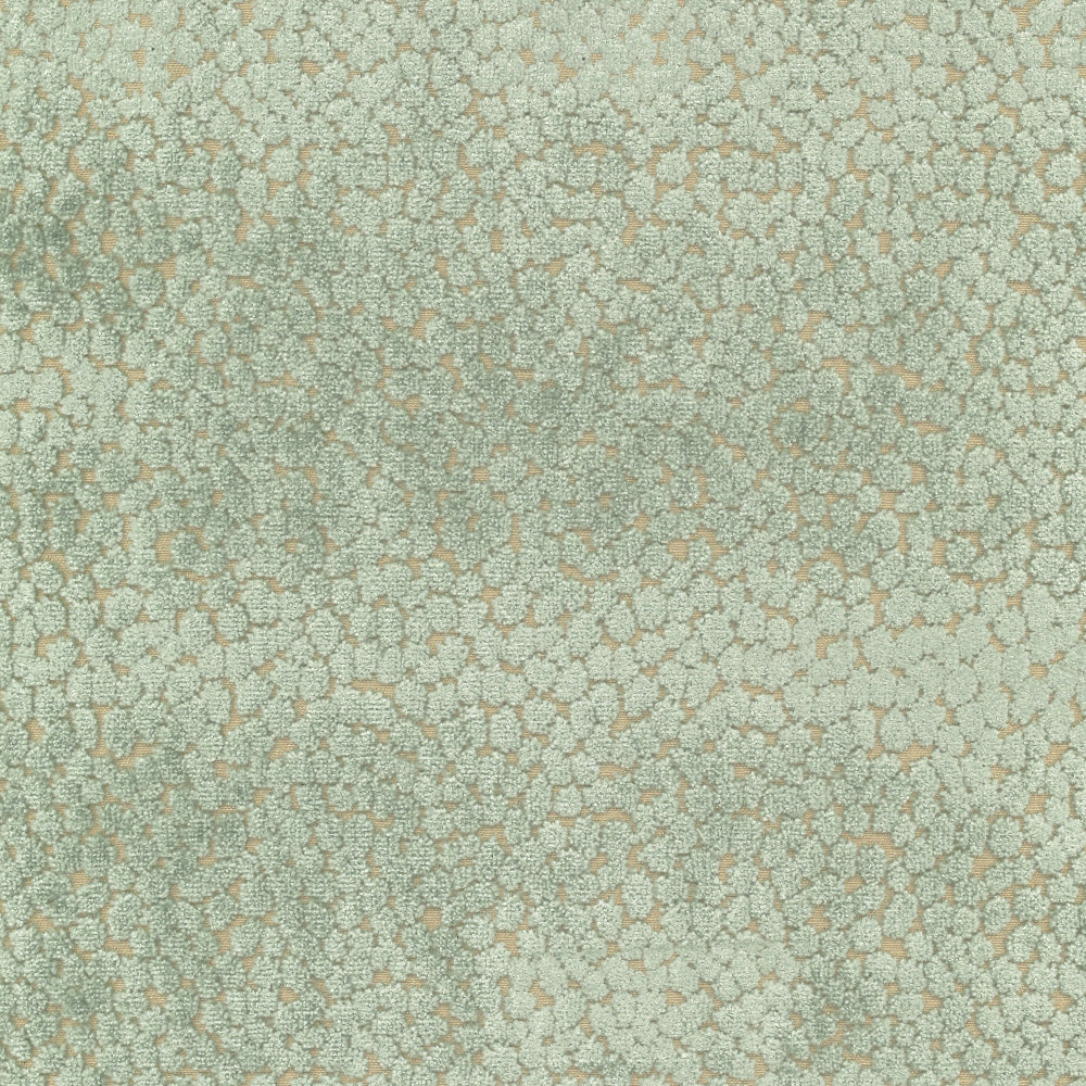 Pelle Di Velluto