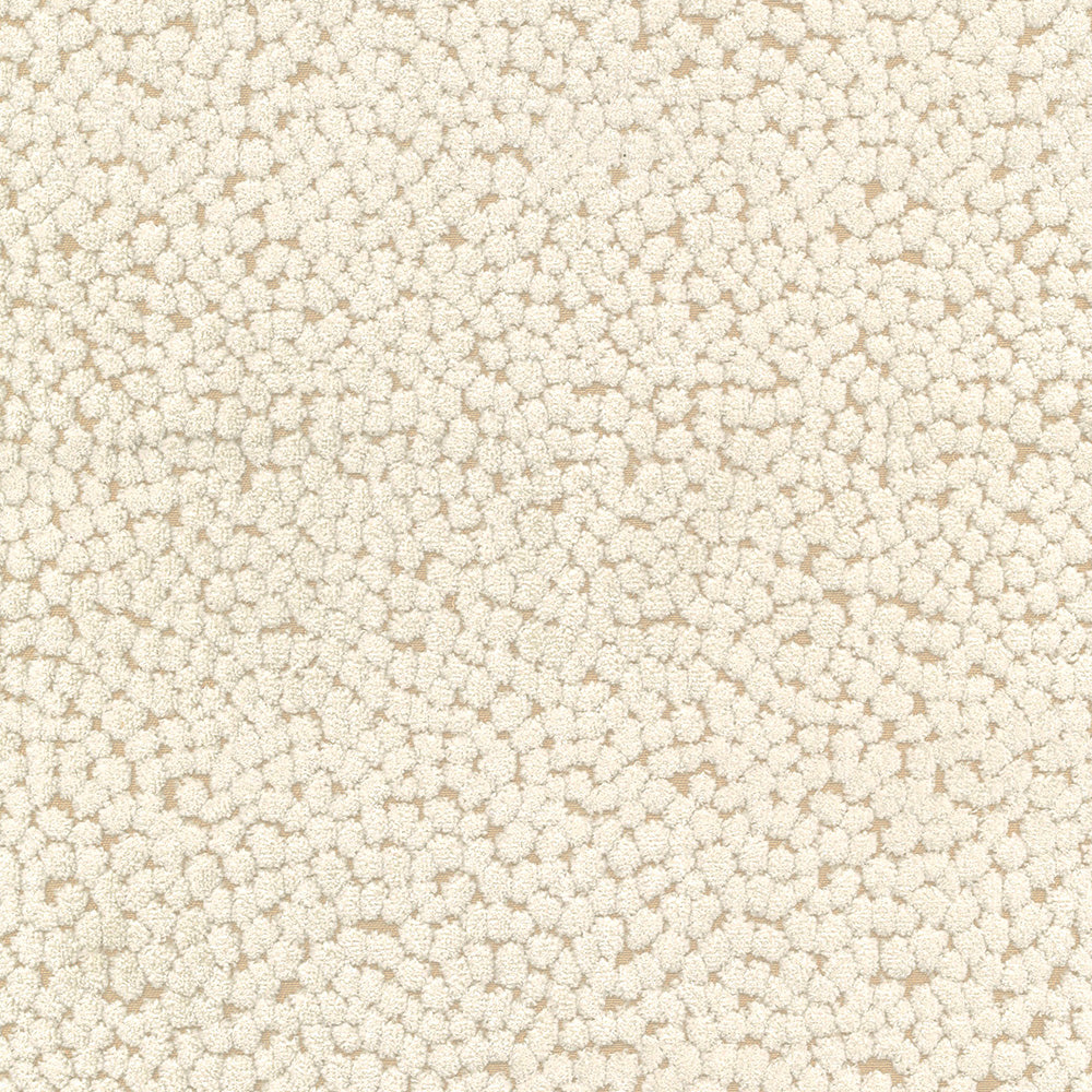 Pelle Di Velluto