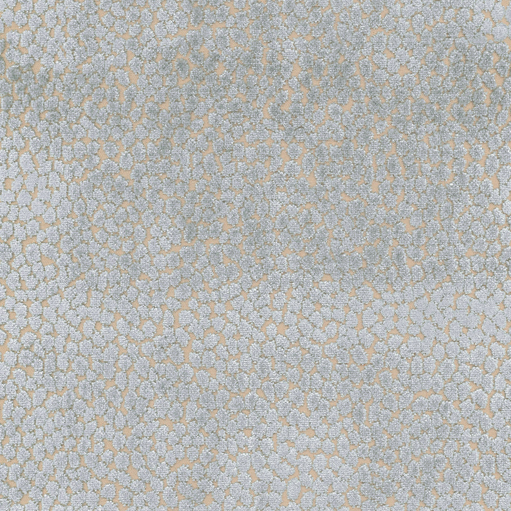 Pelle Di Velluto