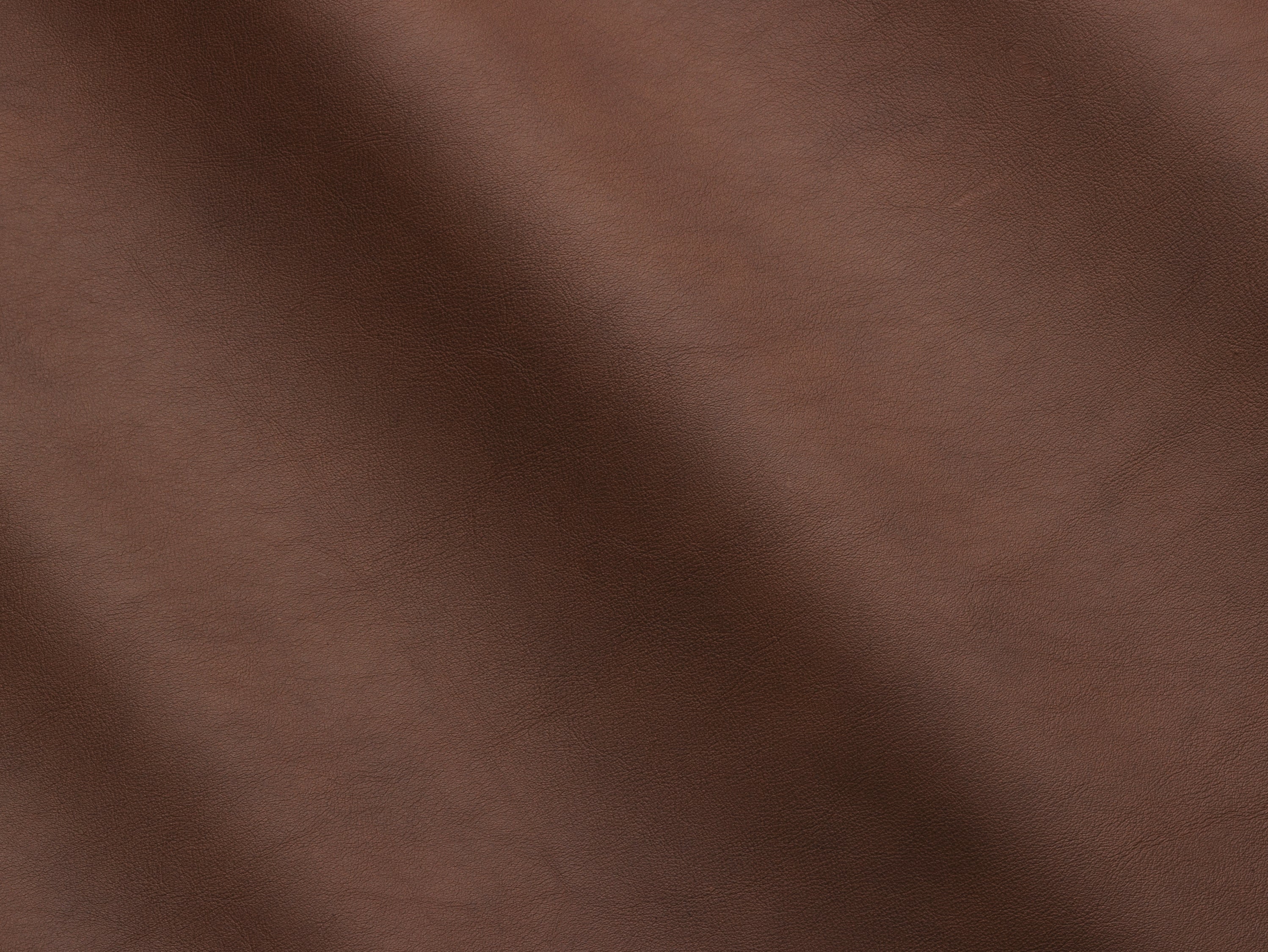 Bronze Antico