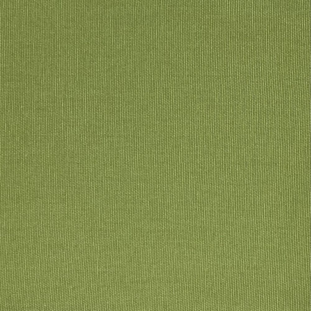 KARINA-CELERY