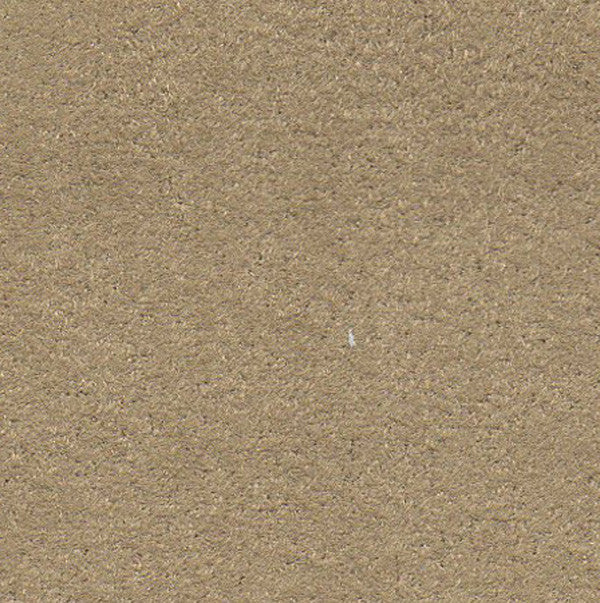 Geneva Suede