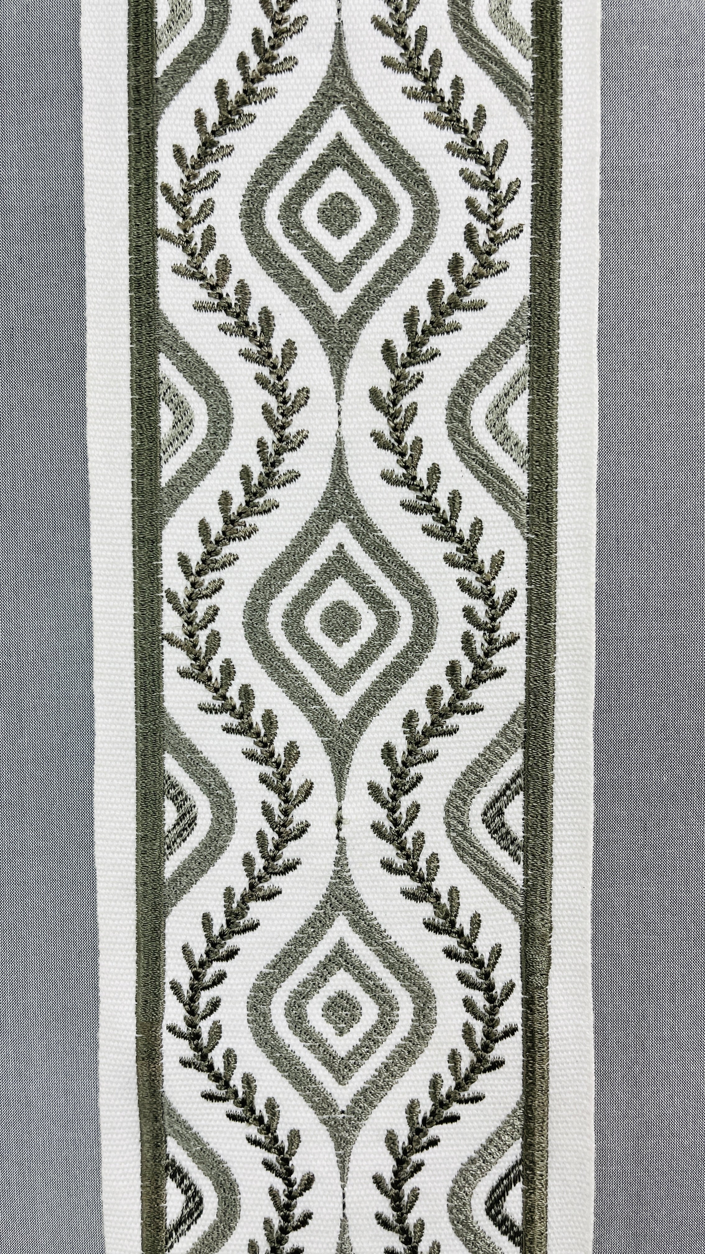 LL 704 - OLIVE